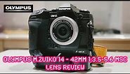 Olympus M.Zuiko 14-42mm EZ MSC is a great lens - RED35 Review