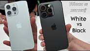 iPhone 15 Pro White vs Black Titanium Color Comparison!