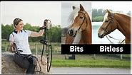 Horse Riding Equipment | Bridles, Bits, & Reins