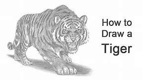 How to Draw a Tiger Roaring