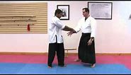 Aikido White Belt Techniques