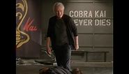 Terry Silver Beats Up Stingray - Cobra Kai S4-E8