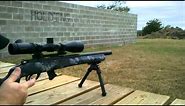 Integrally suppressed .22 bolt action.