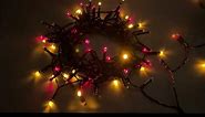 Multi Color Multi-Function LED Battery Operated Lights (96 Bulbs 23.3 ft)