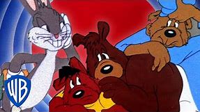 Looney Tunes | Bunny and the Three Bears | WB Kids