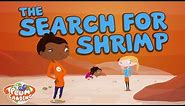 The Search for Shrimp - Desert 2 | PLUM LANDING on PBS KIDS