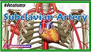 Subclavian artery Anatomy : Origin, Course, Parts, Branches, Relations and Clinical anatomy
