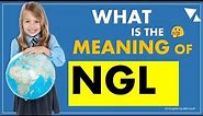 NGL - what is the meaning of Internet Slang