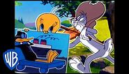 Looney Tunes | Summer Holiday | Classic Cartoon Compilation | WB Kids