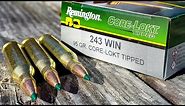 .243 Win Remington Core-Lokt Tipped | 100 Yard Ammo Test (I'M VERY IMPRESSED)