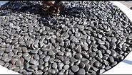 Polished Black Beach Pebble 2 to 3 Inch