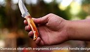 YA FORGE- 7" Hand-Forged Damascus Steel Hunting knife, Majestic Camel Bone Handle, Unyielding 3" Fixed Blade, The Ultimate Survivalist’s Bowie Knife with Exclusive Leather Sheath