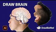 How to draw Human Brain | Medical Illustration | Graphical Abstract | Scientific Illustration
