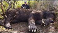 The Biggest Grizzly Bear Ever Killed In Alaska