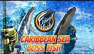 Fishing Hook Gameplay Lv. 50 - Boss Fish at Caribbean Sea - Blue Whale