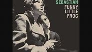 Belle & Sebastian - Funny Little Frog [with lyrics]