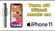 How to Turn off Silent mode on iPhone 11 (Mute Switch)