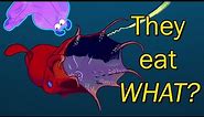 The Unexpected Diet of the Vampire Squid | Alien Ocean