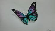 How to Draw a Realistic Butterfly with Colored Pencils