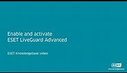 Enable and activate ESET LiveGuard Advanced