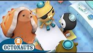 Octonauts - The Cone Snail | Cartoons for Kids | Underwater Sea Education