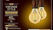 GE Vintage Style LED Light Bulbs, 40 Watt, Amber Finish, Small Base (2 Pack)