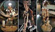 20+ Foot Tall Ancient Giant Skeletons On Exhibit for World to See ECUADOR GIANTS. | 2017