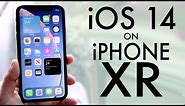 iPhone XR On iOS 14! (Review)