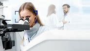Microscopes, Software & Imaging Solutions ZEISS