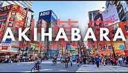 Tokyo’s Anime District Tour | AKIHABARA (I DID NOT EXPECT THIS!)