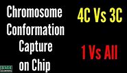 Chromosome Conformation Capture On Chip | 4C Vs 3C |