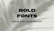 Bold Fonts for Bold Brands - Free Canva Fonts Edition #fonts #fontstyle #freefonts #typography #typographylogo #branding #fyp #fypシ #foryoupage