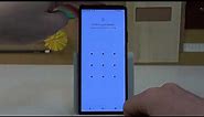Sony Xperia 10 IV - Does It Have Fingerprint Sensor