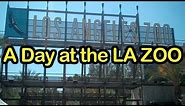 A Day at the LA Zoo