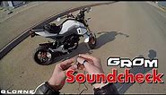 Soundcheck Honda Grom | Neue GoPro!!
