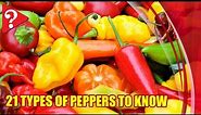 21 Types of Peppers to Know