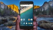 LG Nexus 5X review: Settling down