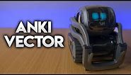ANKI VECTOR REVIEW - YOUR ROBOT ASSISTANT & PET