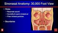 Sinonasal Anatomy