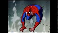 Spiderman Screaming "No!" Source - Spiderman: The Animated Series