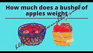 How much does a bushel of apples weight