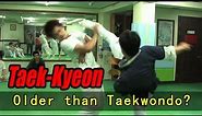The Original Korean Martial Art - Taekkyeon (Hard Korea)