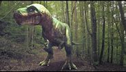 Jurassic Dino Forest - Dinosaur Animation