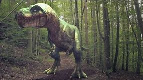 Jurassic Dino Forest - Dinosaur Animation