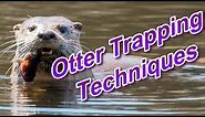 Otter Trapping Techniques Focus on Trapping
