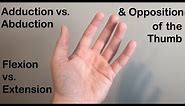 Abduction vs. Adduction, Flexion vs. Extension and Opposition of the Thumb