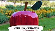 NEW Apple Hill California 👉 Best Apple Hill Activities and Attractions