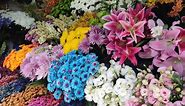 Flower trade for All Souls' Day in Sao Paulo, Brazil