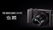 Panasonic - LUMIX Point and Shoot - DMC-ZS100 - Features and Specifications