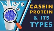 Casein Protein & Its Types
